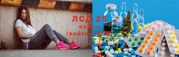 винт Армянск