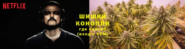твердый Аркадак