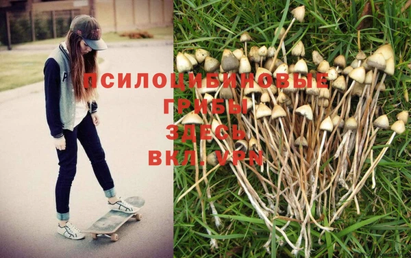 МДМА Арсеньев